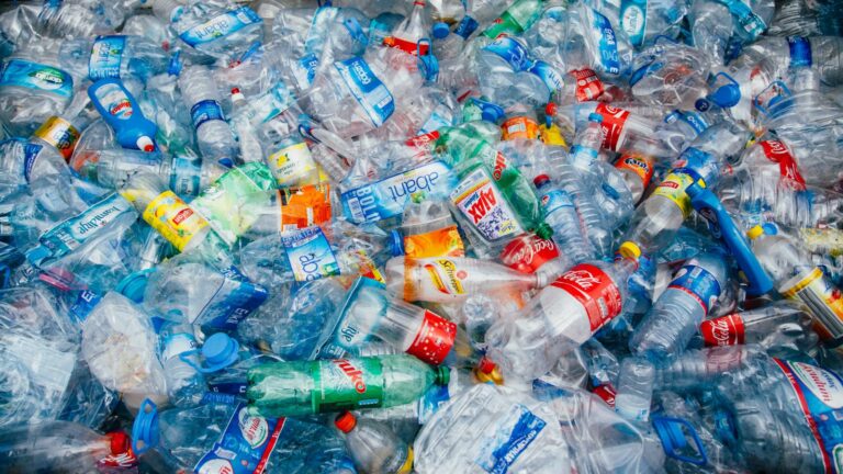 Earth Day: An Opportunity to Address the Environmental
Injustice of Plastic Pollution